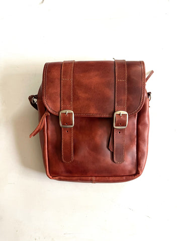 Convertible Messenger Day Bag -small