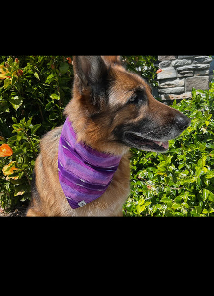 DOG BANDANA-MEDIUM